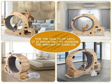 Cat Wheel 6-in-1 Cat Exercise Wheel,Upgraded Cat Wheel Exerciser for Indoor Cats,Large Cat 27068312