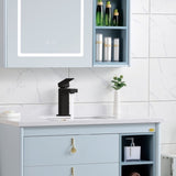 Single Handle Bathroom Faucet, Matte Black Single Hole Bathroom Faucet, Solid Brass Modern Bathroom W1386P331342