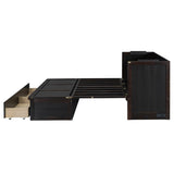 Queen Size Murphy Bed with USB Port and a Large Drawer, Espresso N708P205905P