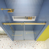 Bypass shower door, sliding door,soft close system, with 5/16" tempered glass and Brushed Gold W2122P225213
