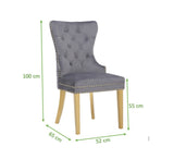 Simba Gold 2 Piece Dinning Chair Finish with Velvet Fabric in Dark Gray 659436250550