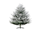 6ft Christmas tree 09529170