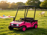 24V Kids Golf Cart 2WD 2-Seater Soft Start Rear Suspension Pink 93382424