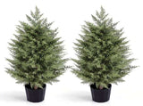 Set of 2 3ft Two-Tone Green PE Potted Trees with Round Black Pots, 250 Branch Tips Each, Artificial 26409058