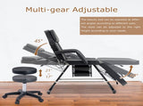 Massage Salon Tattoo Chair with Two Trays Esthetician Bed with Hydraulic Stool,Multi-Purpose W1422132169