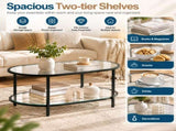 Oval Glass Coffee Table with 2-Tier Storage Shelves, Black Metal Frame, Clear Glass Top, 07323954