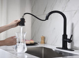 Single Handle Pull Down Kitchen Faucet with Dual Function Sprayhead 14563295