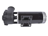 Executive 56-Frame 4HP Dual-Speed Spa Pump 2in Intake & Discharge 1-4 Horsepower 230 Volt 160 51733889