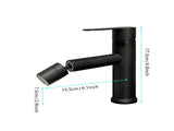 Single Handle Bathroom Sink Faucet with Pop-Up Drain 86492454