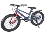 20 Inch Kids Bicycles , Fat Tire Mountain Bike for Boys and Girls Age 5 Years ,7-Speed Dual-Disc W1019P203875