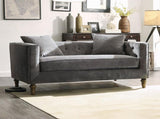 Sidonia Gray Velvet Loveseat W/2 Pillows B2726P401996