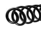 Pair Rear Left & Right Coil Spring fit for VW Passat 2006-2018 3.6L 3C0511115AD 10104626