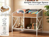 2-Tier Vinyl Record Storage Rack, Industrial Wood & Metal Record Display Stand with Anti-Tipping 32470131