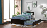 Twin size Platform Bed with Trundle, Espresso WF194304AAP