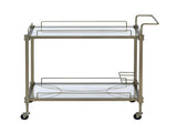 Aditya Mirrored & Antique Brass Finish Serving Cart B2726P448767