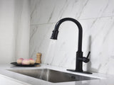 Single Handle Pull Down Kitchen Faucet with Dual Function Sprayhead 14563295