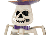 Halloween Skeleton Guitar Yard Decoration, 61.8 Inch Metal Skeleton Statue with Purple Hat and Bow N769P511208G