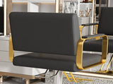Hydraulic Salon - 360&deg Swivel Barber Stylist with Pump, Non-Tilting Hairdressing 12084379