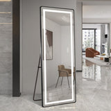 64 inch x 21 inch full-length vertical mirror with LED light, illuminated floor mirror with bracket, W2709P305306