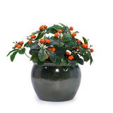 Handmade Dark Green Glazed Ceramic Planter Set of 3, 15/12/9 Inch Diameter, Solid Glossy Finish, for W3273P321543