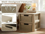 2-Drawer PP Storage Organizer Wicker Style Narrow Cabinet for Home Office 09536706