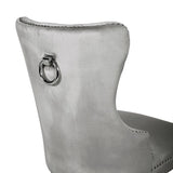 Erica 2 Piece Stainless Steel Legs Chair Finish with Velvet Fabric in Light Gray 808857825940