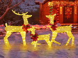 3-Piece Lighted Christmas Reindeer Family Set Outdoor Decorations, Weather Proof 2D Deer Family Set 09867947