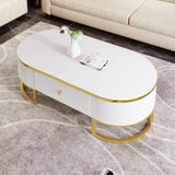 Modern Oval Coffee Table with Drawers,Curved Profile Design, Gold Metal Decor, Center Table for N735P192897K