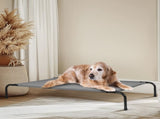 50"D x 31"W x 8"H Dog Bed 46504503