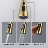 Single Handle Stainless Steel Kitchen Sink Faucet with Pull Down Sprayer W2287P354628