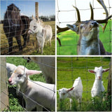 Farm Fence 5ft x 164ft 14Gauge Heavy Zinc Coating Cattle Fence,Galvanized Field Wire Fencing Deer W2286P270223