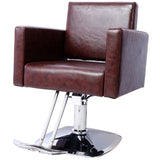 Salon Chair for Hair Stylist 360&deg Swivel with Heavy Duty Hydraulic Pump, Max Load Weight 330 lbs, W465P156748