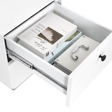 Modern Night Stand Storage Cabinet for Living Room Bedroom, Steel Cabinet with 2 Drawers,Bedside W252113552