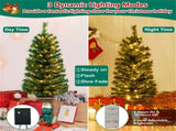 4 Feet Potted Christmas Tree 08613789