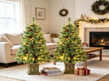 4ft Pre Lit Artificial Christmas Tree Set of 2 Xmas Pine Trees Dual Color LED Remote Green 72719239
