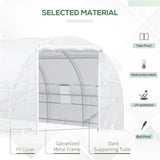 ZNTS Walk-in Greenhouse 20x10x7ft Garden conservatory White 18937691