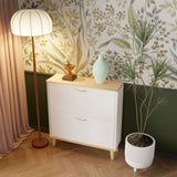 Shoes Storage Cabinet for Entryway,Narrow Shoe Rack Cabinet,Shoe Cabinet with 2 Flip W3166P268388