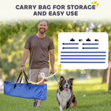 Dog agility training equipment 11335965