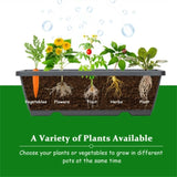Gray Raised Garden Bed 23826876