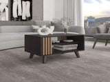 Coffee Table, 1 Door, 2 Shelves, Black Wengue / Natural Oak B097P369429
