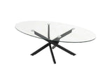 Oval Coffee Table with Tempered Glass Top and Black Metal Legs, Modern Side Table and 40327571