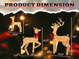 3-Piece Lighted Christmas Reindeer Set Outdoor Decorations, Weather Proof Sparkling Deer 40145997