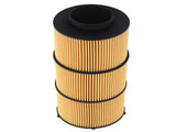 Oil Filter Kit LF17800 fit for Detroit Diesel Western Star A4721842525 6Pack 56543274