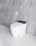 ZNTS Elongated Smart Toilet with Elongated Heated Bidet Seat, Intelligent Toilet with Bidet Built-in, W2826P199068