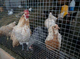 Hardware Cloth 1/4 inch 48in x 50ft 23 Gauge, Hot-dip Galvanized After Welding Chicken Wire Fence W2286P310758