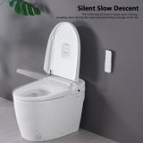 ZNTS Smart Toilet Bidet Combo with Self-Cleaning Nozzle, Heated Seat, Night Light, Knob Control, Power W1219P262872