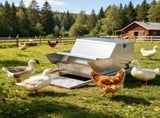 Automatic Chicken Feeder 09615396