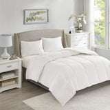 Oversized 100% Cotton Down Comforter B035100004