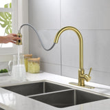 ZNTS Single Handle High Arc Pull Out Kitchen Faucet,Single Level Stainless Steel Kitchen Sink Faucets 25914519