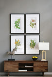 Set of 4 Botanical Flower Wall Art, Home Decor for Living Room, Dining Room, Bedroom, Hallway, 20" x W2078130294